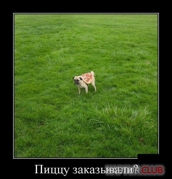 demotivatory_13.jpg | Рено Каптур Клуб Россия | Форум KAPTUR.SU