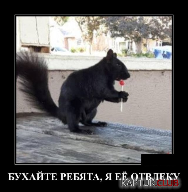 demotivatory_13.jpg | Рено Каптур Клуб Россия | Форум KAPTUR.SU