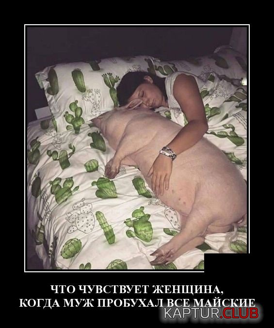 demotivatory_13.jpg | Рено Каптур Клуб Россия | Форум KAPTUR.SU
