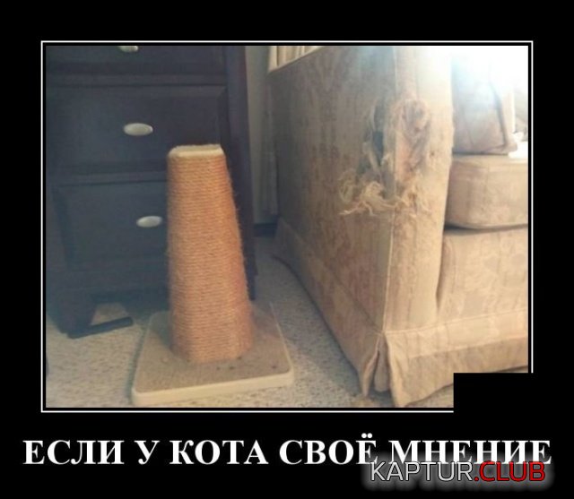 demotivatory_13.jpg | Рено Каптур Клуб Россия | Форум KAPTUR.SU