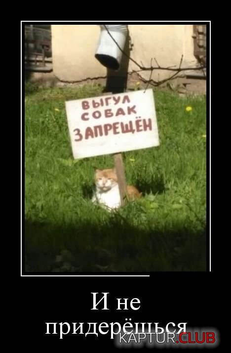 demotivatory_14.jpg | Рено Каптур Клуб Россия | Форум KAPTUR.SU