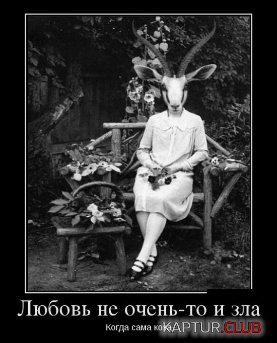 demotivatory_14.jpg | Рено Каптур Клуб Россия | Форум KAPTUR.SU