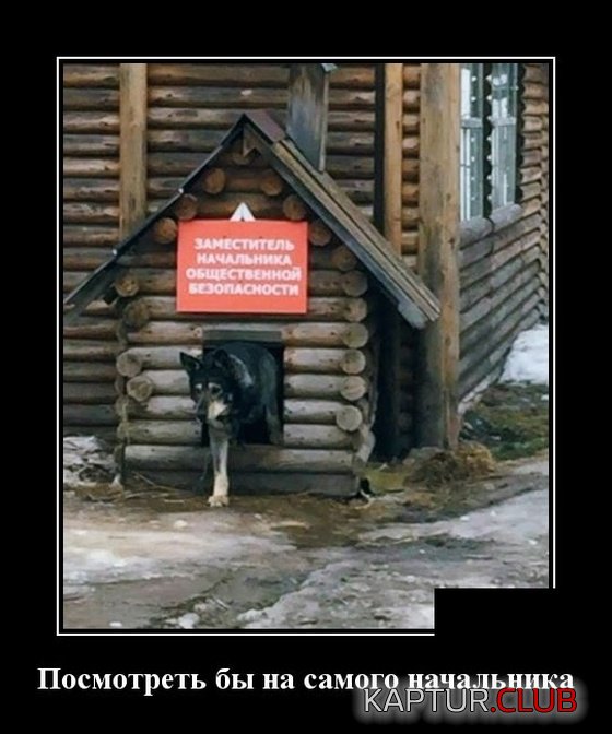demotivatory_14.jpg | Рено Каптур Клуб Россия | Форум KAPTUR.SU