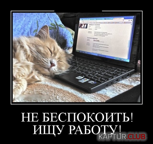 demotivatory_14.jpg | Рено Каптур Клуб Россия | Форум KAPTUR.SU