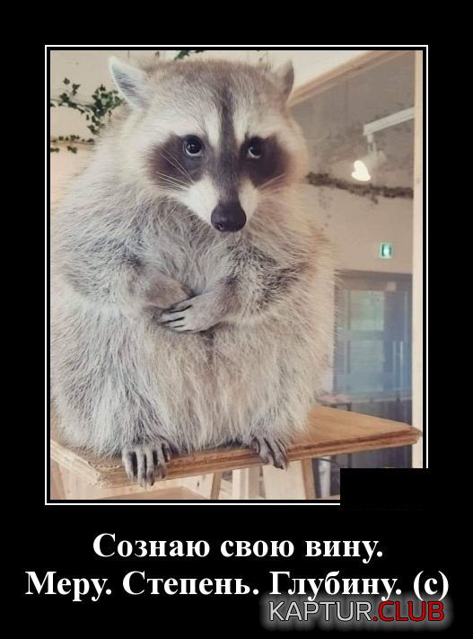 demotivatory_14.jpg | Рено Каптур Клуб Россия | Форум KAPTUR.SU