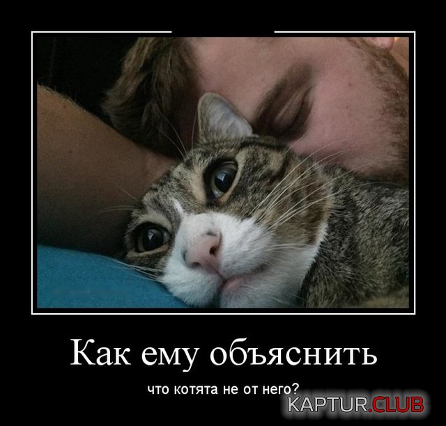 demotivatory_14.jpg | Рено Каптур Клуб Россия | Форум KAPTUR.SU