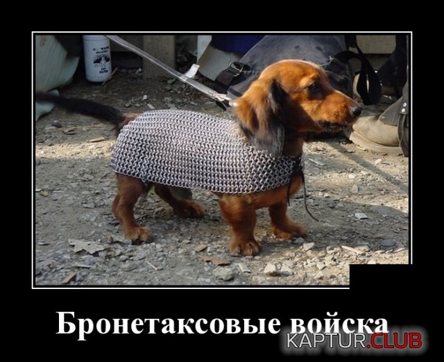 demotivatory_14.jpg | Рено Каптур Клуб Россия | Форум KAPTUR.SU