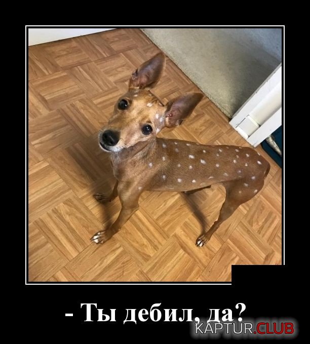 demotivatory_14.jpg | Рено Каптур Клуб Россия | Форум KAPTUR.SU