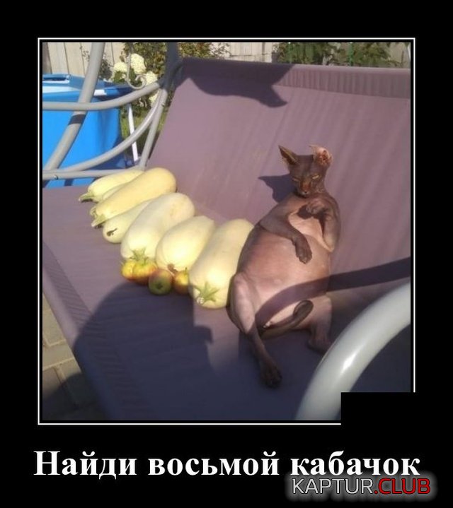 demotivatory_14.jpg | Рено Каптур Клуб Россия | Форум KAPTUR.SU