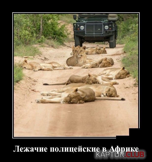 demotivatory_15.jpg | Рено Каптур Клуб Россия | Форум KAPTUR.SU