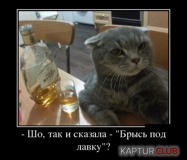 demotivatory_15.jpg | Рено Каптур Клуб Россия | Форум KAPTUR.SU