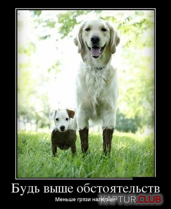demotivatory_15.jpg | Рено Каптур Клуб Россия | Форум KAPTUR.SU