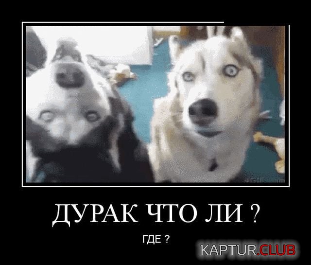 demotivatory_15.jpg | Рено Каптур Клуб Россия | Форум KAPTUR.SU
