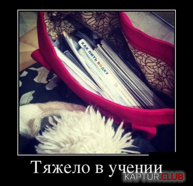 demotivatory_15.jpg | Рено Каптур Клуб Россия | Форум KAPTUR.SU