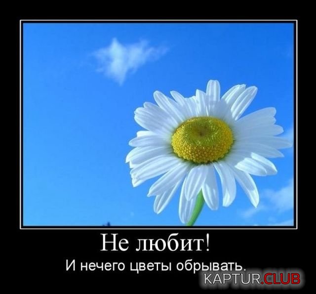 demotivatory_15.jpg | Рено Каптур Клуб Россия | Форум KAPTUR.SU