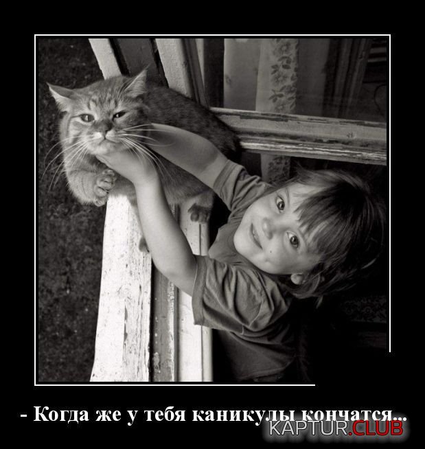 demotivatory_15.jpg | Рено Каптур Клуб Россия | Форум KAPTUR.SU