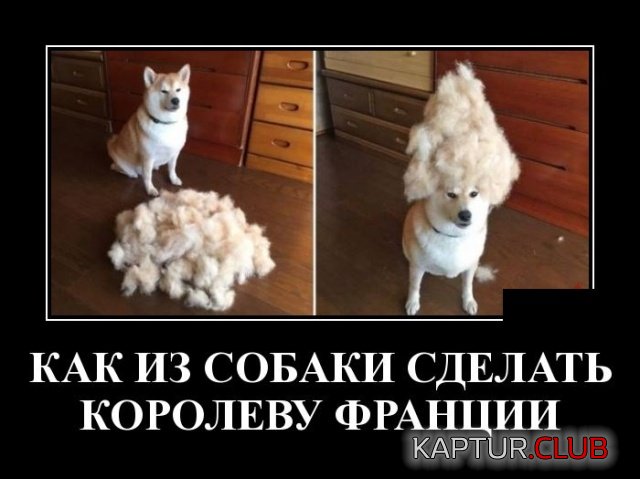 demotivatory_15.jpg | Рено Каптур Клуб Россия | Форум KAPTUR.SU