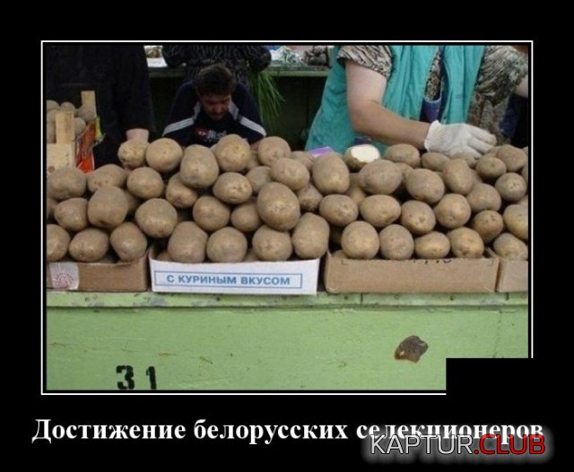 demotivatory_15.jpg | Рено Каптур Клуб Россия | Форум KAPTUR.SU