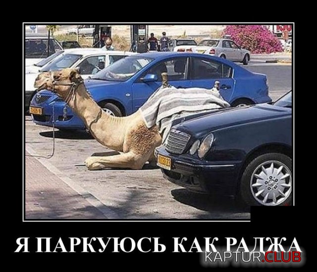 demotivatory_15.jpg | Рено Каптур Клуб Россия | Форум KAPTUR.SU