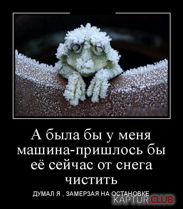demotivatory_15.jpg | Рено Каптур Клуб Россия | Форум KAPTUR.SU