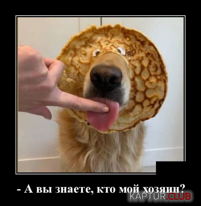 demotivatory_15.jpg | Рено Каптур Клуб Россия | Форум KAPTUR.SU