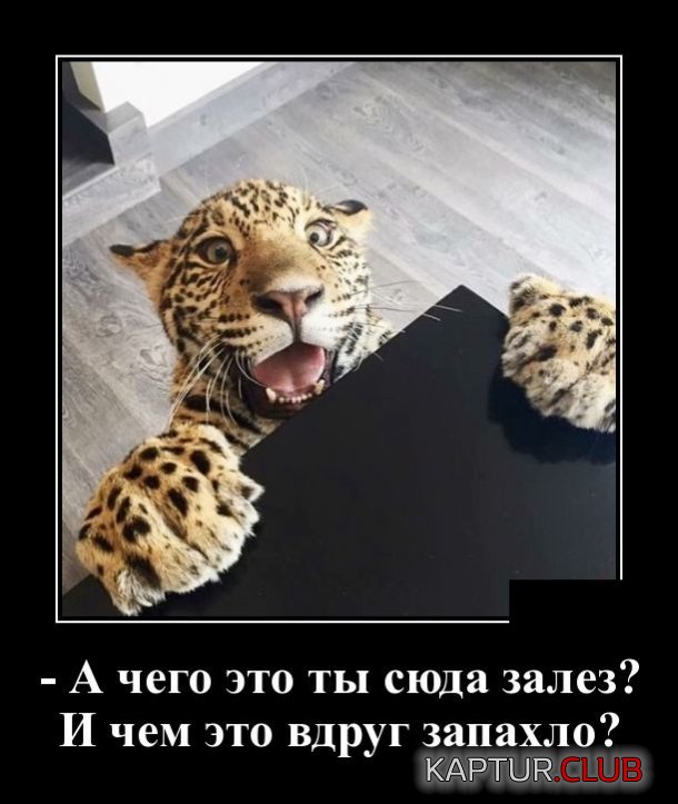 demotivatory_15.jpg | Рено Каптур Клуб Россия | Форум KAPTUR.SU