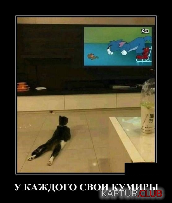 demotivatory_15.jpg | Рено Каптур Клуб Россия | Форум KAPTUR.SU