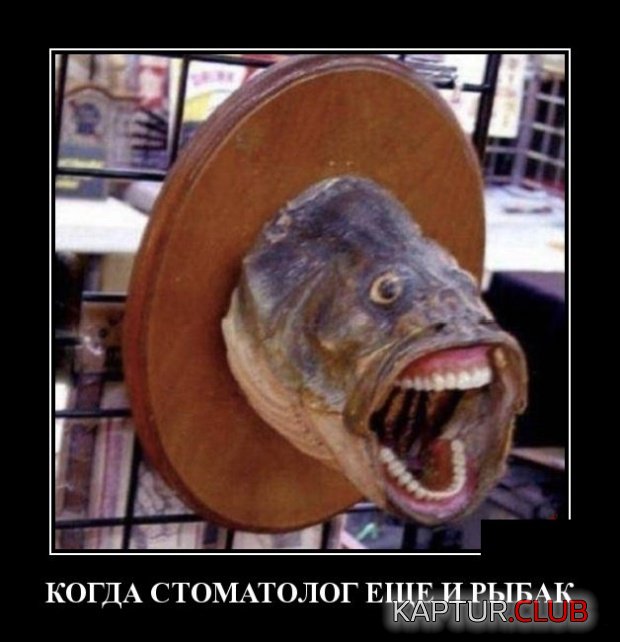 demotivatory_15.jpg | Рено Каптур Клуб Россия | Форум KAPTUR.SU