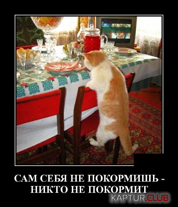 demotivatory_15.jpg | Рено Каптур Клуб Россия | Форум KAPTUR.SU
