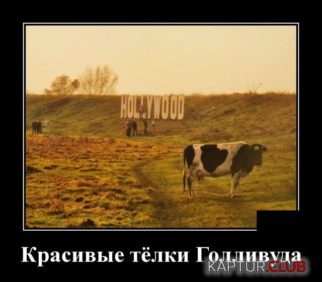 demotivatory_15.jpg | Рено Каптур Клуб Россия | Форум KAPTUR.SU