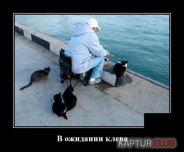 demotivatory_15.jpg | Рено Каптур Клуб Россия | Форум KAPTUR.SU