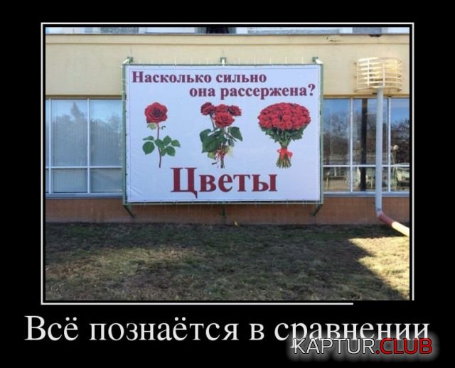 demotivatory_16.jpg | Рено Каптур Клуб Россия | Форум KAPTUR.SU