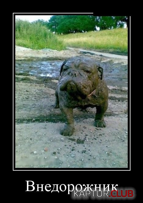 demotivatory_16.jpg | Рено Каптур Клуб Россия | Форум KAPTUR.SU