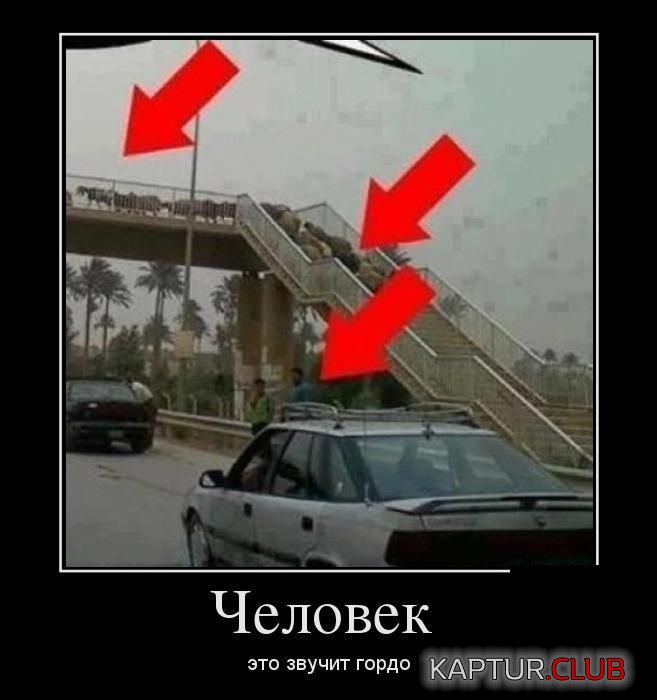 demotivatory_16.jpg | Рено Каптур Клуб Россия | Форум KAPTUR.SU