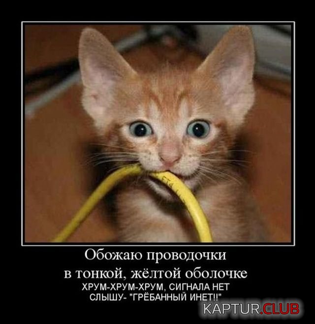 demotivatory_16.jpg | Рено Каптур Клуб Россия | Форум KAPTUR.SU