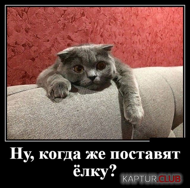 demotivatory_16.jpg | Рено Каптур Клуб Россия | Форум KAPTUR.SU