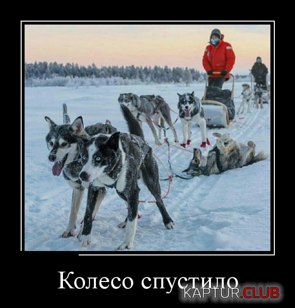demotivatory_16.jpg | Рено Каптур Клуб Россия | Форум KAPTUR.SU