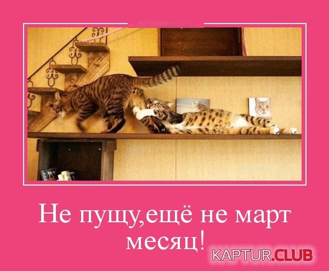 demotivatory_16.jpg | Рено Каптур Клуб Россия | Форум KAPTUR.SU