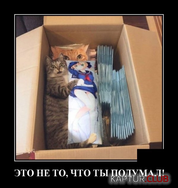 demotivatory_16.jpg | Рено Каптур Клуб Россия | Форум KAPTUR.SU