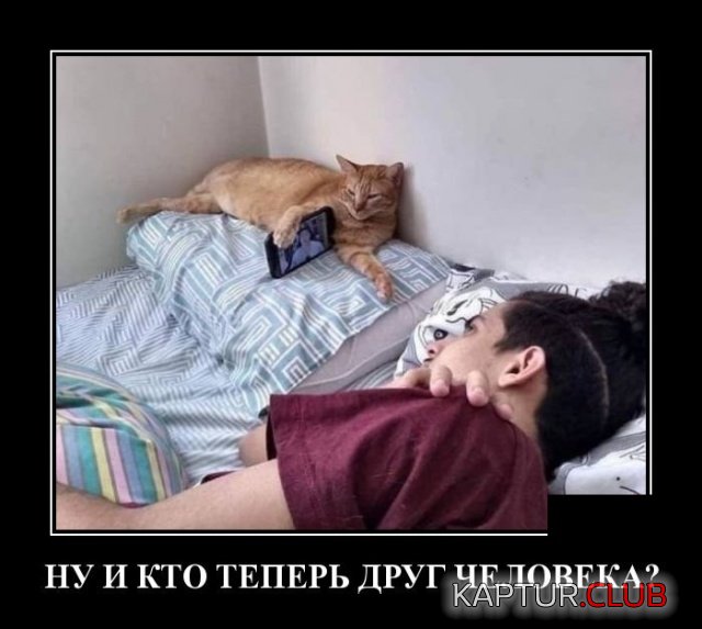 demotivatory_16.jpg | Рено Каптур Клуб Россия | Форум KAPTUR.SU