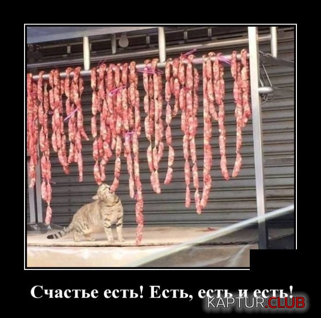 demotivatory_16.jpg | Рено Каптур Клуб Россия | Форум KAPTUR.SU