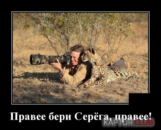 demotivatory_16.jpg | Рено Каптур Клуб Россия | Форум KAPTUR.SU