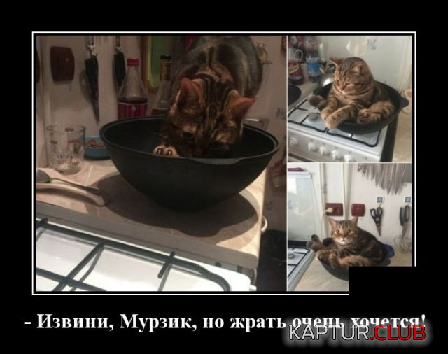 demotivatory_16.jpg | Рено Каптур Клуб Россия | Форум KAPTUR.SU