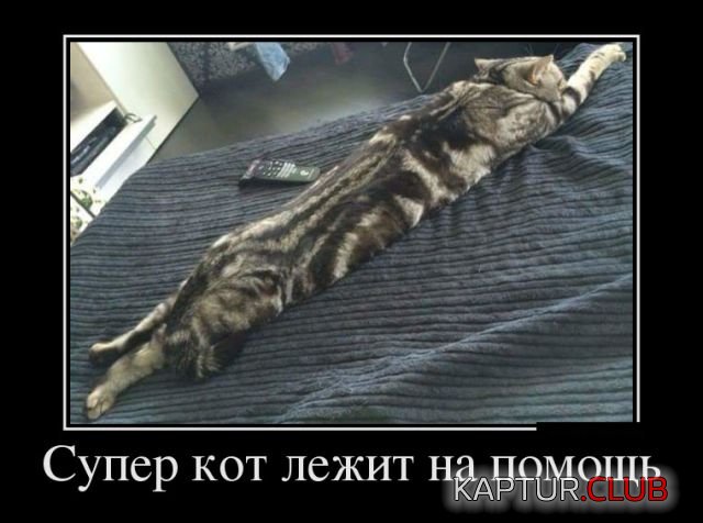 demotivatory_17.jpg | Рено Каптур Клуб Россия | Форум KAPTUR.SU