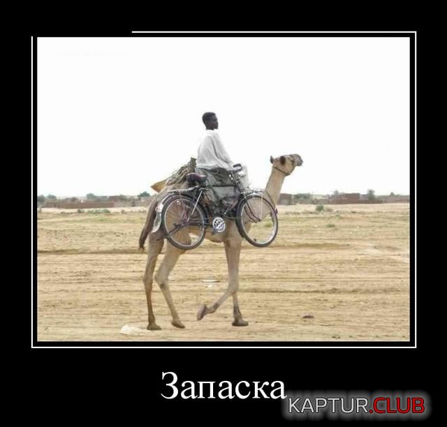 demotivatory_17.jpg | Рено Каптур Клуб Россия | Форум KAPTUR.SU