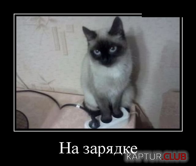 demotivatory_17.jpg | Рено Каптур Клуб Россия | Форум KAPTUR.SU