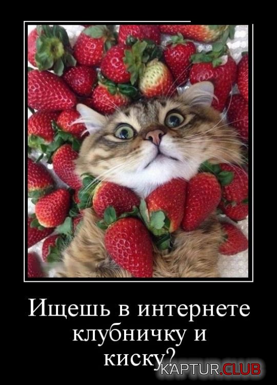 demotivatory_17.jpg | Рено Каптур Клуб Россия | Форум KAPTUR.SU