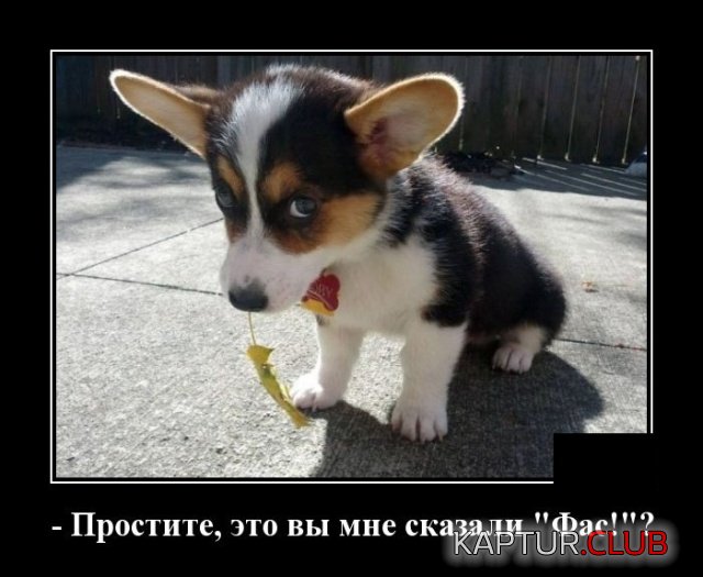 demotivatory_17.jpg | Рено Каптур Клуб Россия | Форум KAPTUR.SU