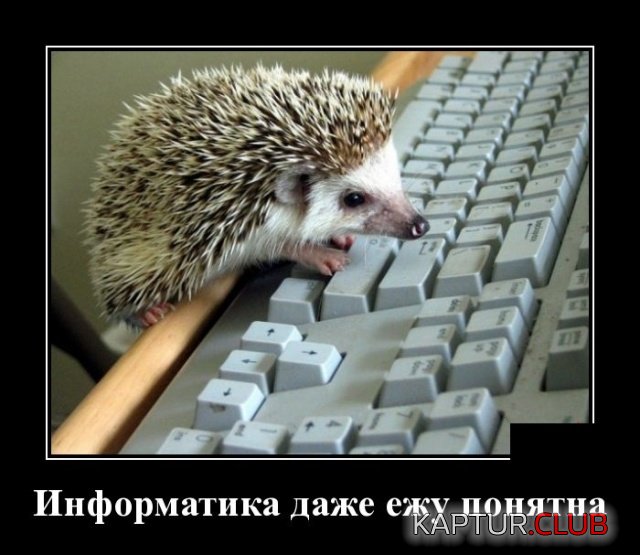 demotivatory_17.jpg | Рено Каптур Клуб Россия | Форум KAPTUR.SU