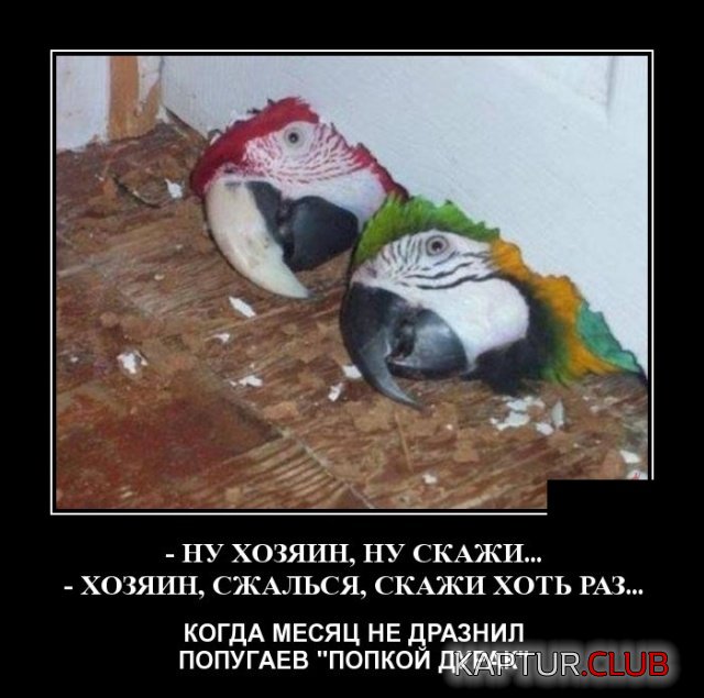 demotivatory_17.jpg | Рено Каптур Клуб Россия | Форум KAPTUR.SU